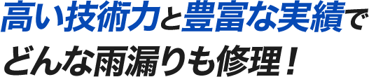高い技術力と豊富な実績でどんな雨漏りも修理!
