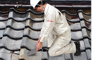 現地調査イメージ