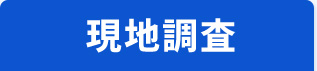 現地調査
