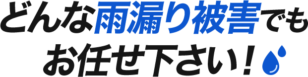 どんな雨漏り被害でもお任せ下さい！